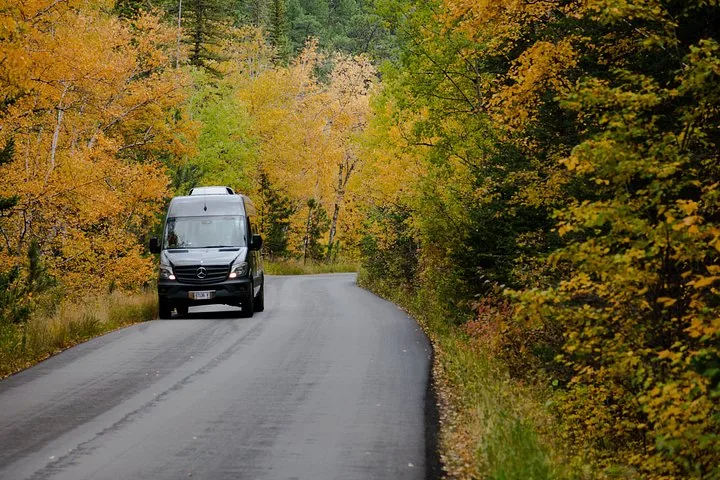 Dunkelgrauer Van auf einer Straße, umgeben von gelben Herbstbäumen